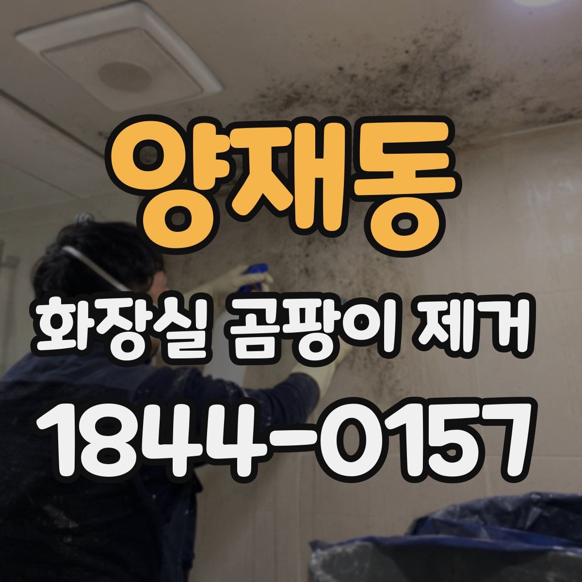 양재동 화장실 곰팡이 제거
