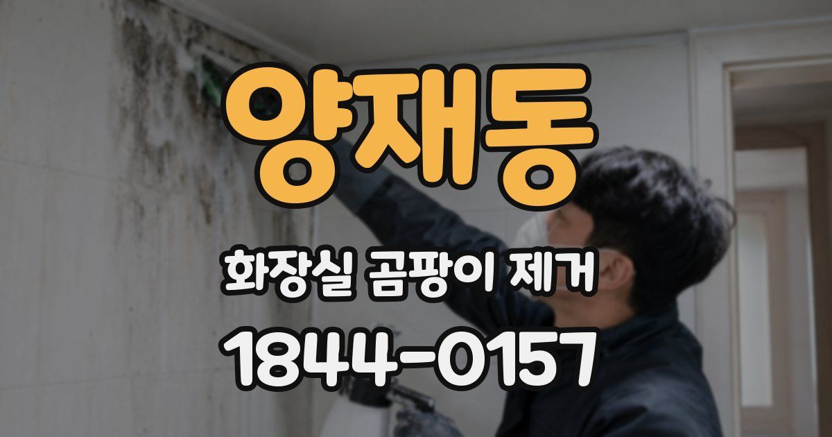 양재동 화장실 곰팡이 제거