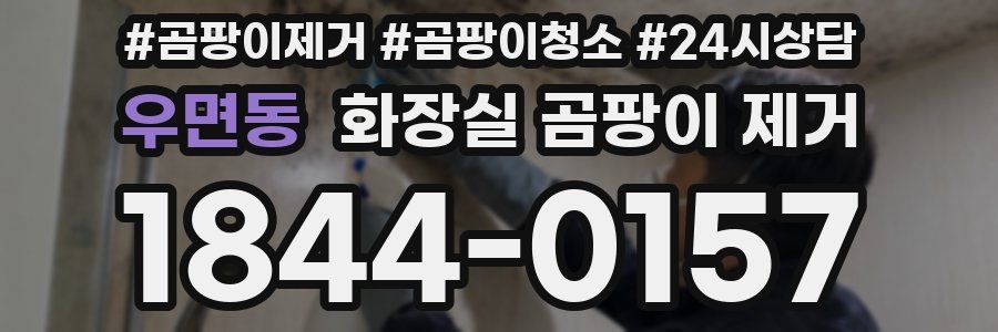 우면동 화장실 곰팡이 제거