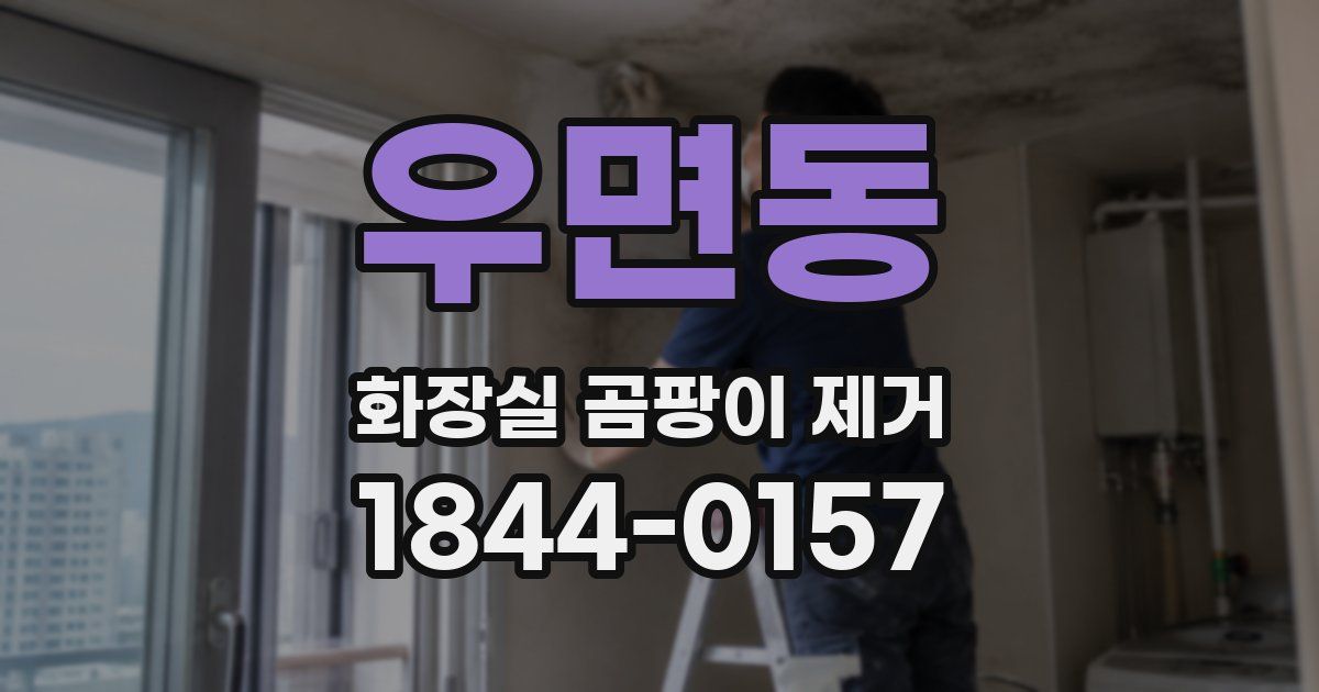 우면동 화장실 곰팡이 제거