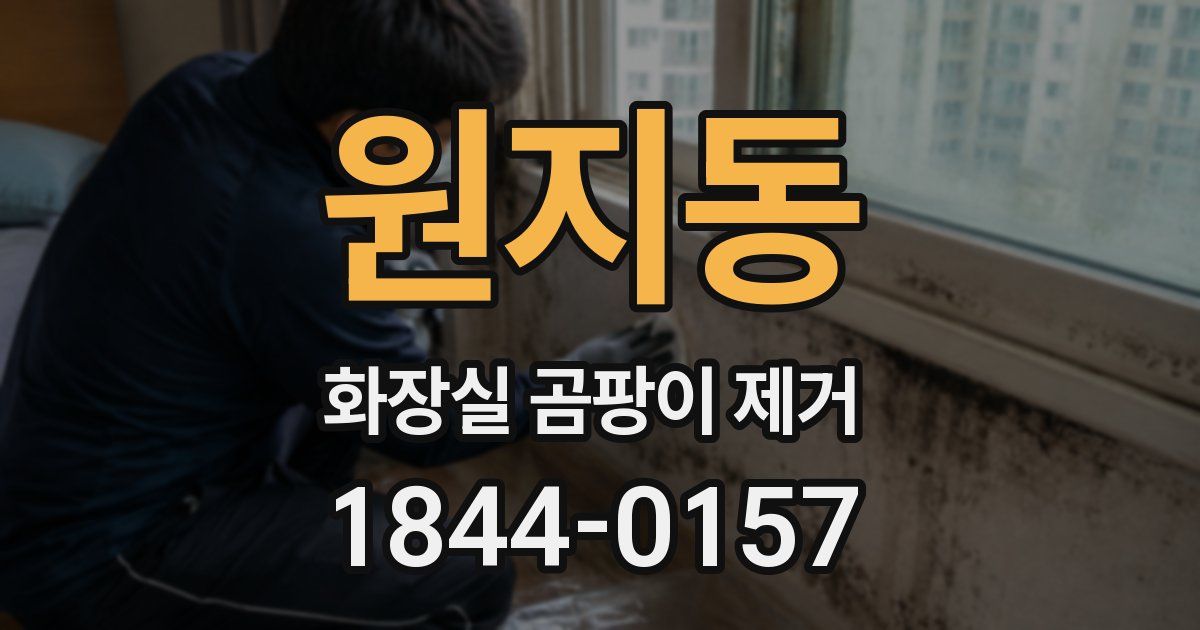 원지동 화장실 곰팡이 제거