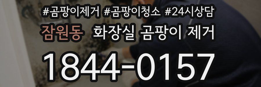 잠원동 화장실 곰팡이 제거
