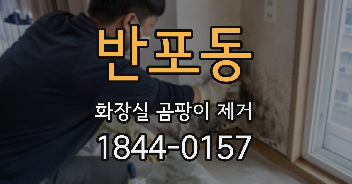 반포동 화장실 곰팡이 제거