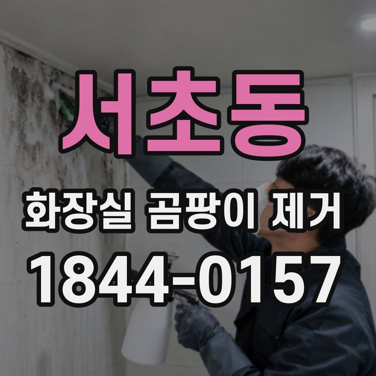 서초동 화장실 곰팡이 제거