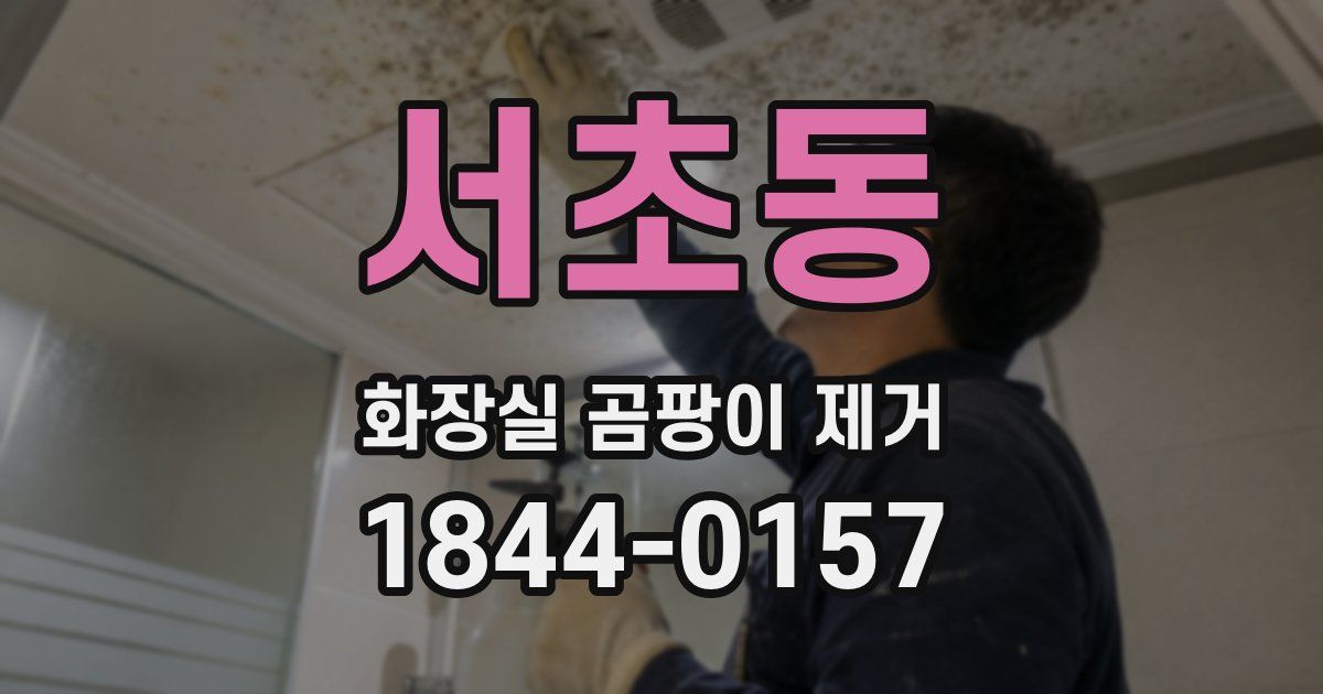 서초동 화장실 곰팡이 제거