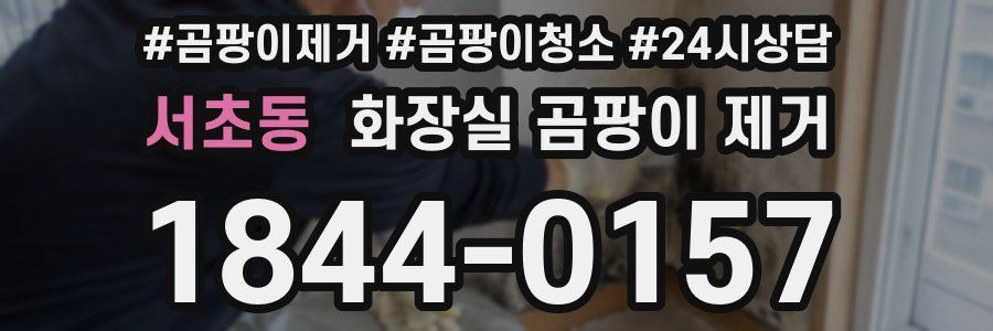 서초동 화장실 곰팡이 제거
