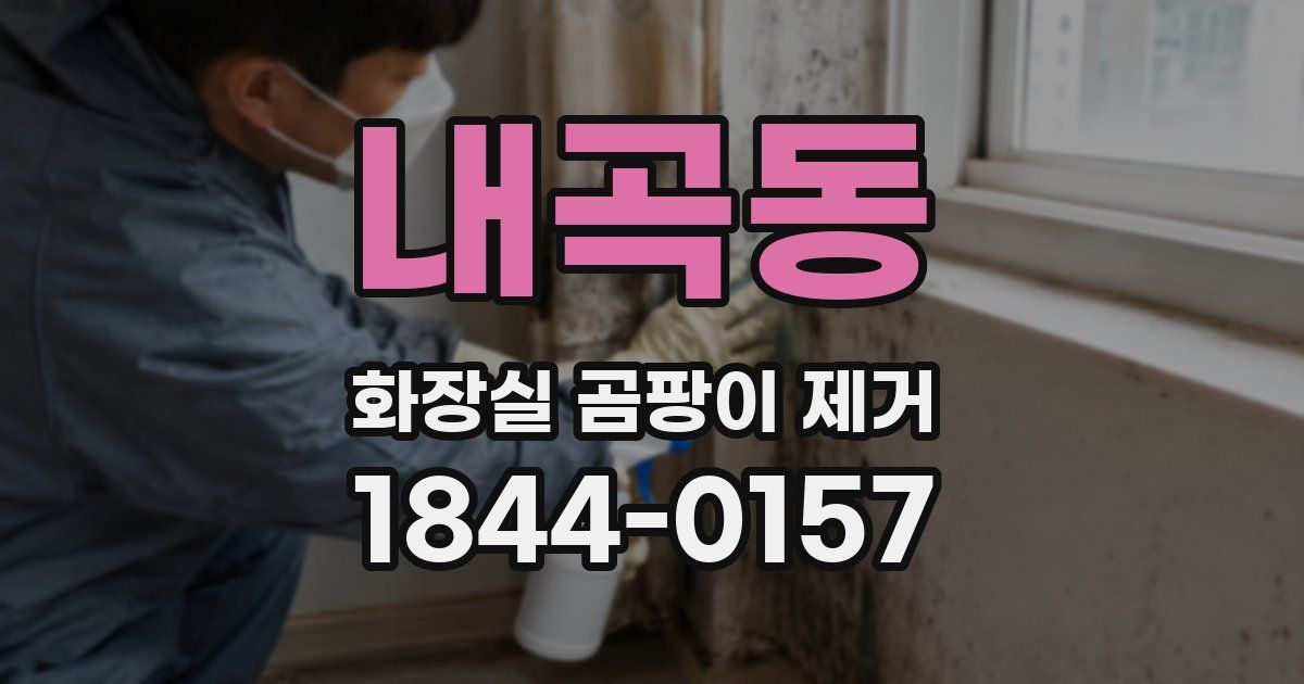 내곡동 화장실 곰팡이 제거