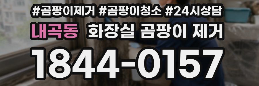 내곡동 화장실 곰팡이 제거
