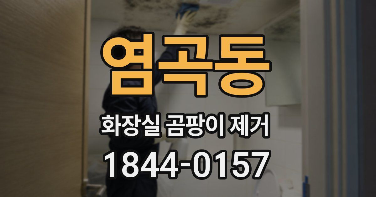 염곡동 화장실 곰팡이 제거
