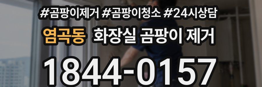 염곡동 화장실 곰팡이 제거