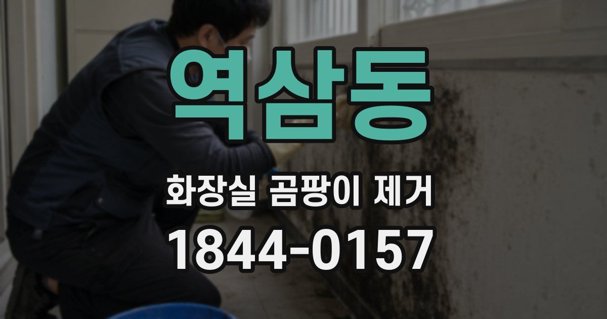 역삼동 화장실 곰팡이 제거