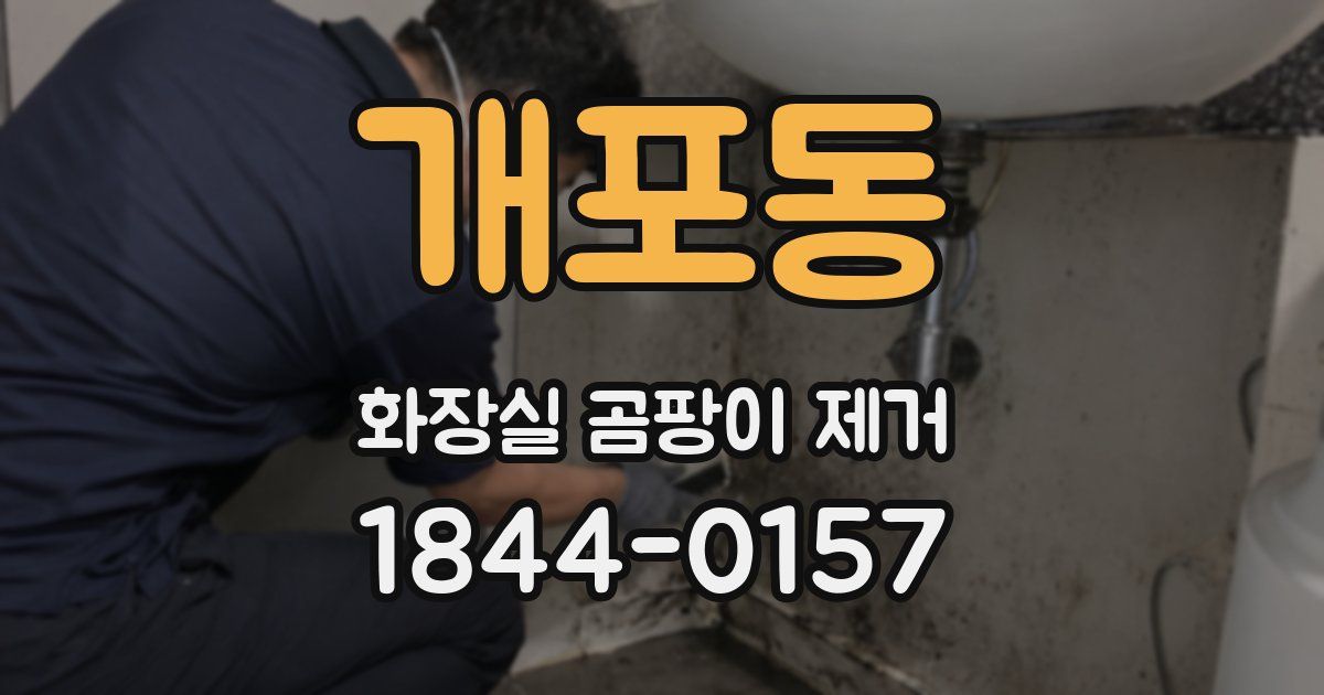 개포동 화장실 곰팡이 제거