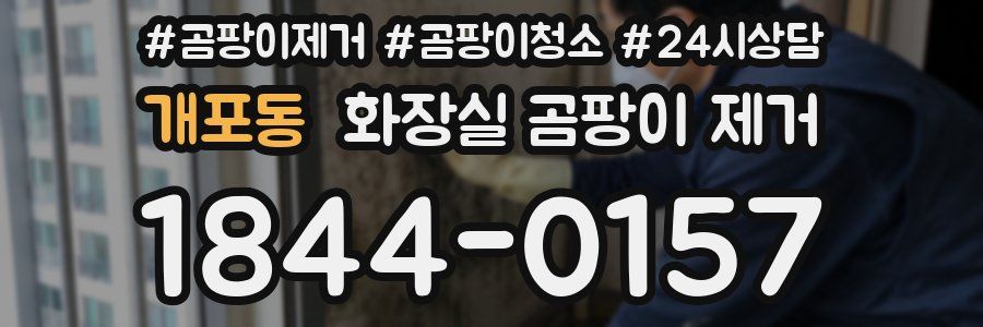 개포동 화장실 곰팡이 제거