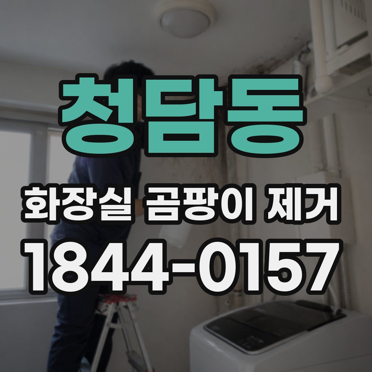 청담동 화장실 곰팡이 제거