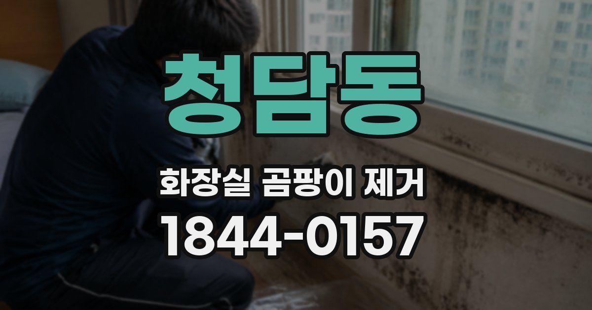 청담동 화장실 곰팡이 제거