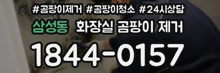 삼성동 화장실 곰팡이 제거