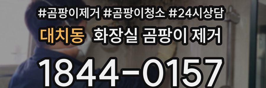 대치동 화장실 곰팡이 제거