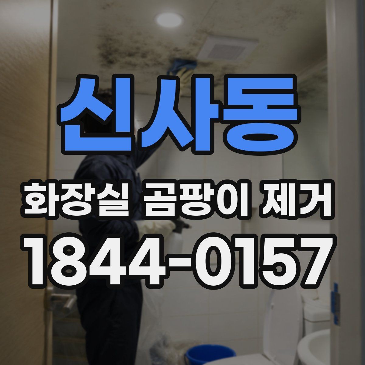 신사동 화장실 곰팡이 제거 후 마감 코팅이 필요한 이유