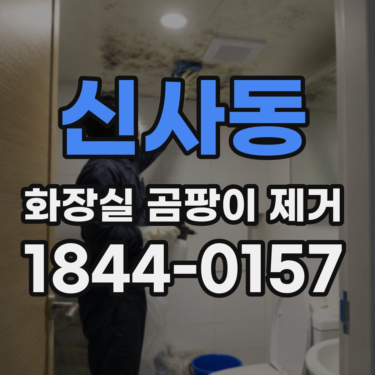 신사동 화장실 곰팡이 제거