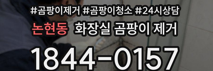 논현동 화장실 곰팡이 제거