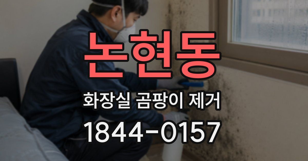 논현동 화장실 곰팡이 제거