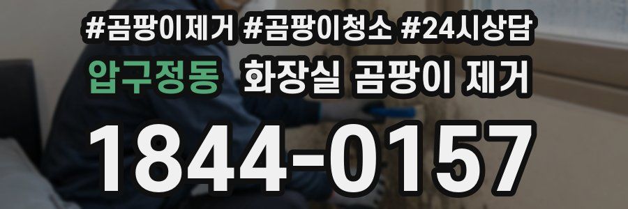 압구정동 화장실 곰팡이 제거