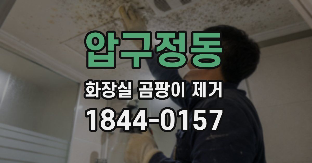 압구정동 화장실 곰팡이 제거