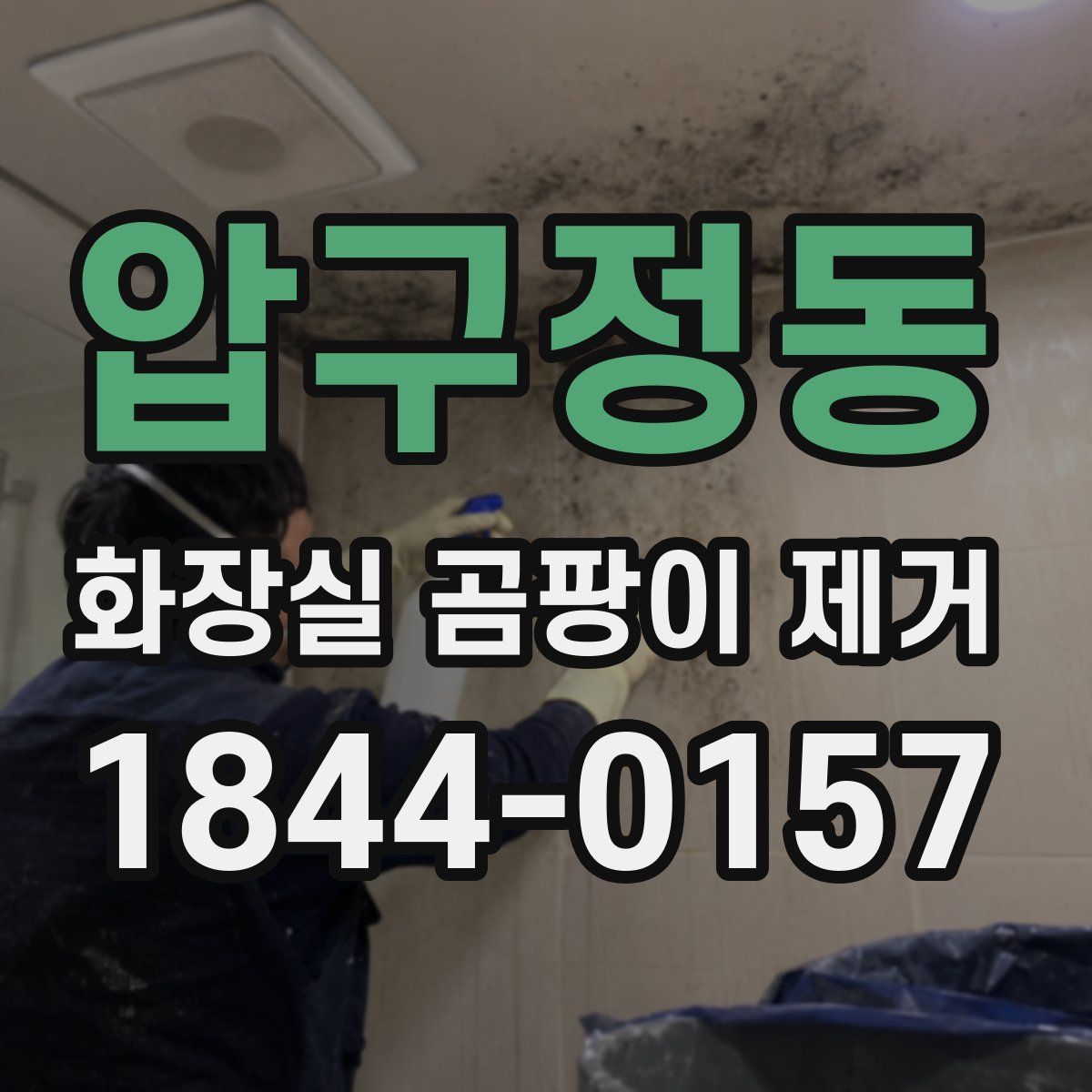 압구정동 화장실 곰팡이 제거