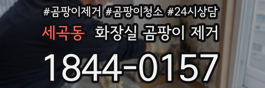 세곡동 화장실 곰팡이 제거