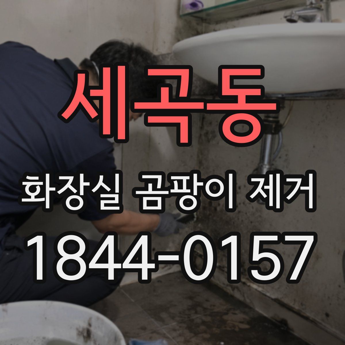 세곡동 화장실 곰팡이 제거