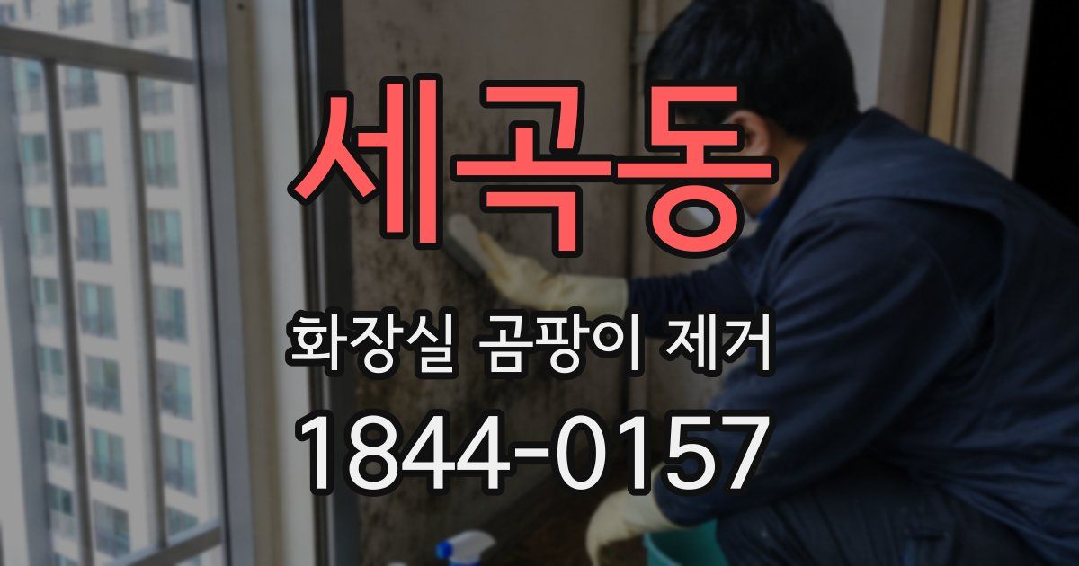 세곡동 화장실 곰팡이 제거