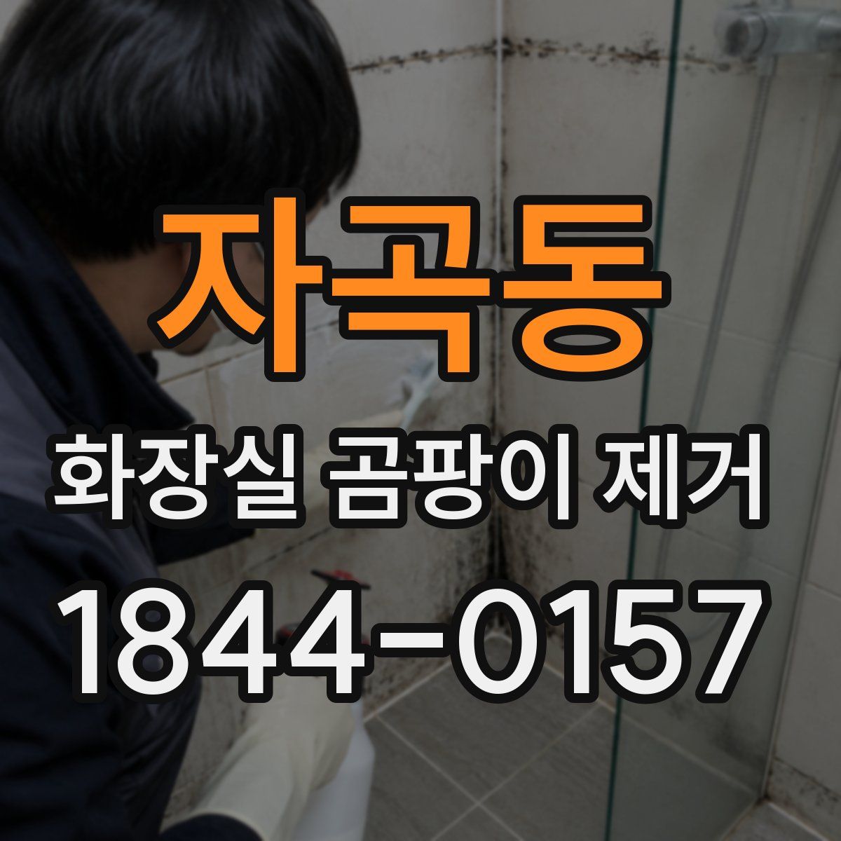 자곡동 화장실 곰팡이 제거