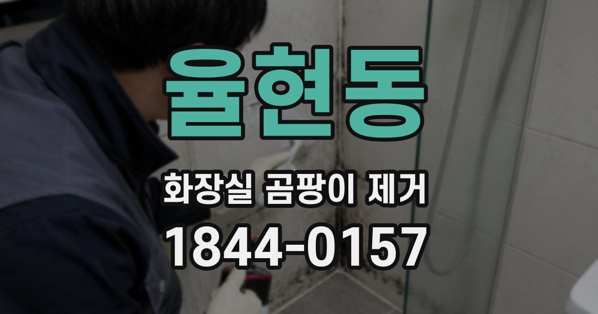 율현동 화장실 곰팡이 제거