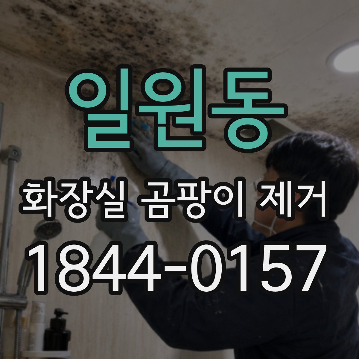 일원동 화장실 곰팡이 제거