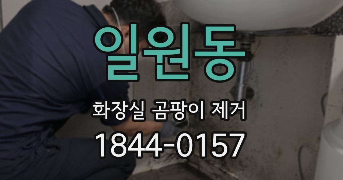 일원동 화장실 곰팡이 제거