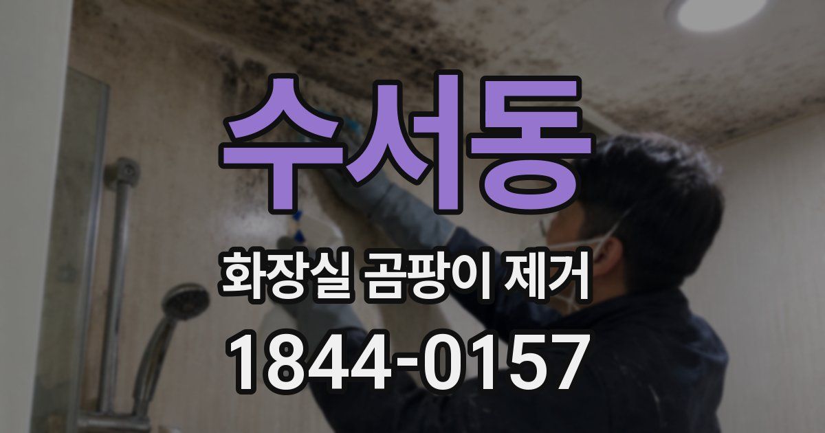 수서동 화장실 곰팡이 제거