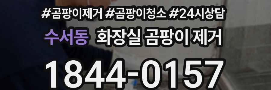 수서동 화장실 곰팡이 제거