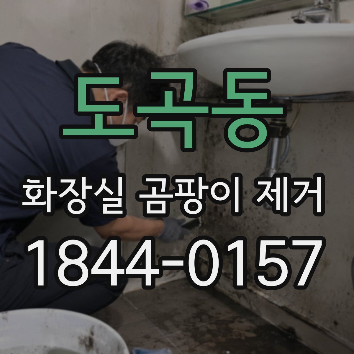 도곡동 화장실 곰팡이 제거