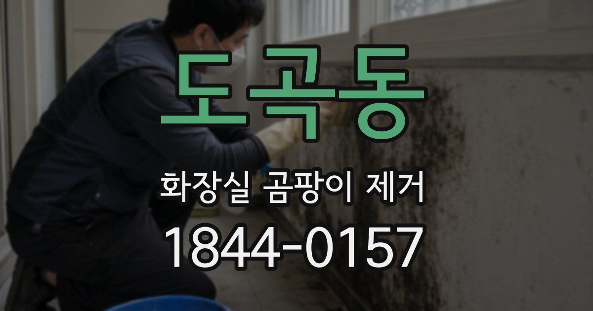 도곡동 화장실 곰팡이 제거