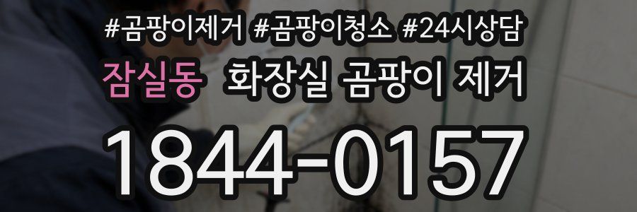 잠실동 화장실 곰팡이 제거