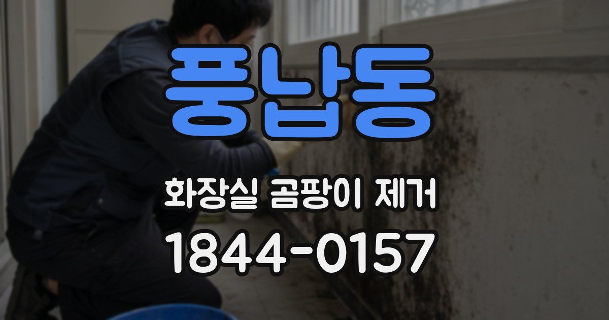 풍납동 화장실 곰팡이 제거