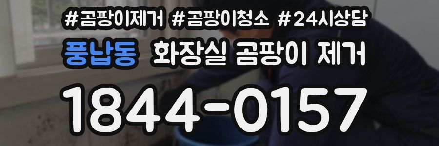 풍납동 화장실 곰팡이 제거