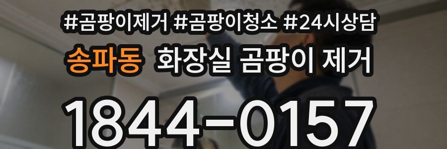 송파동 화장실 곰팡이 제거