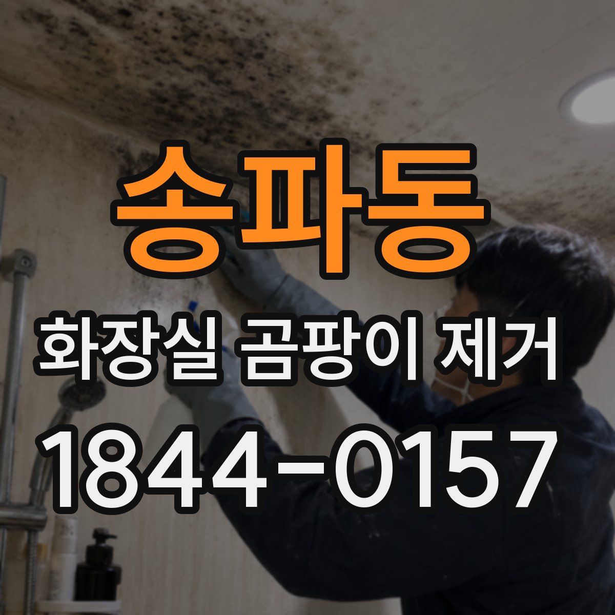 송파동 화장실 곰팡이 제거