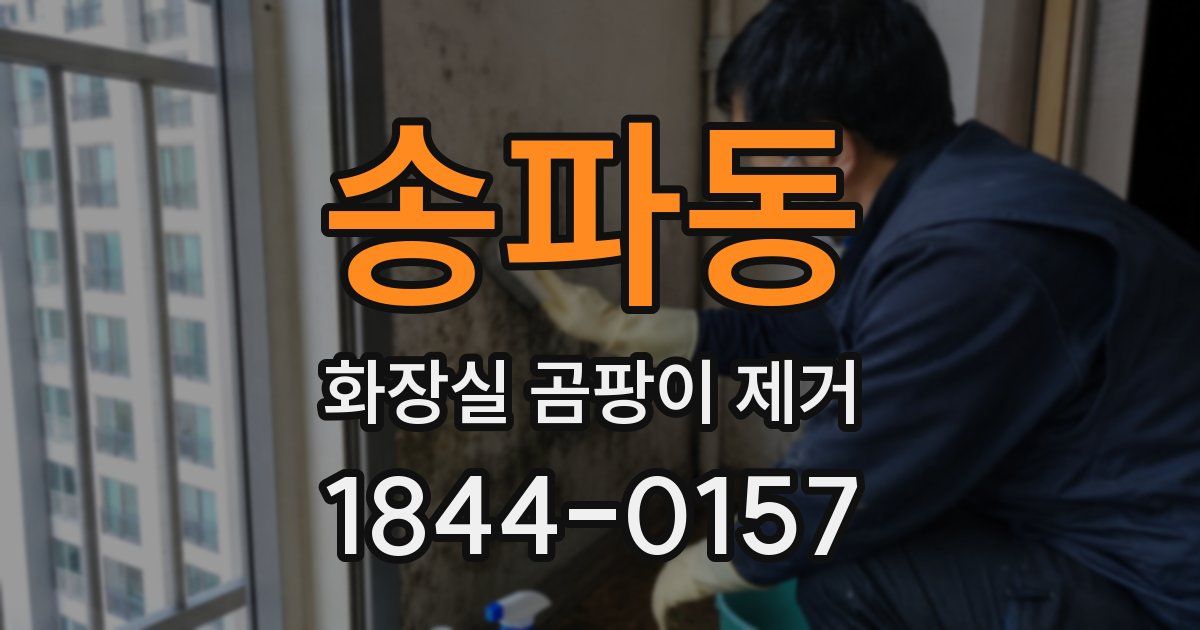 송파동 화장실 곰팡이 제거