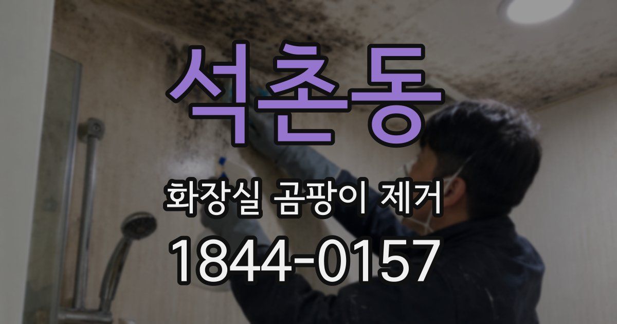석촌동 화장실 곰팡이 제거