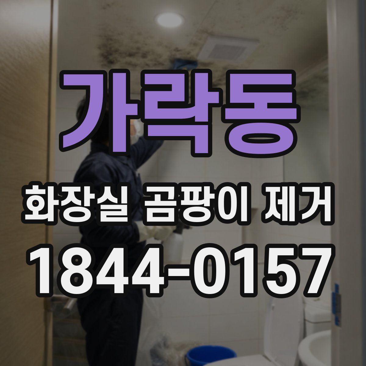 가락동 화장실 곰팡이 제거