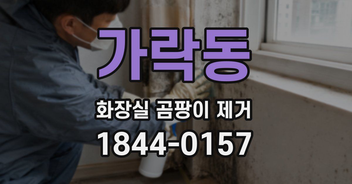 가락동 화장실 곰팡이 제거