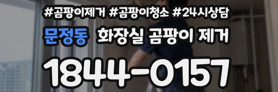 문정동 화장실 곰팡이 제거