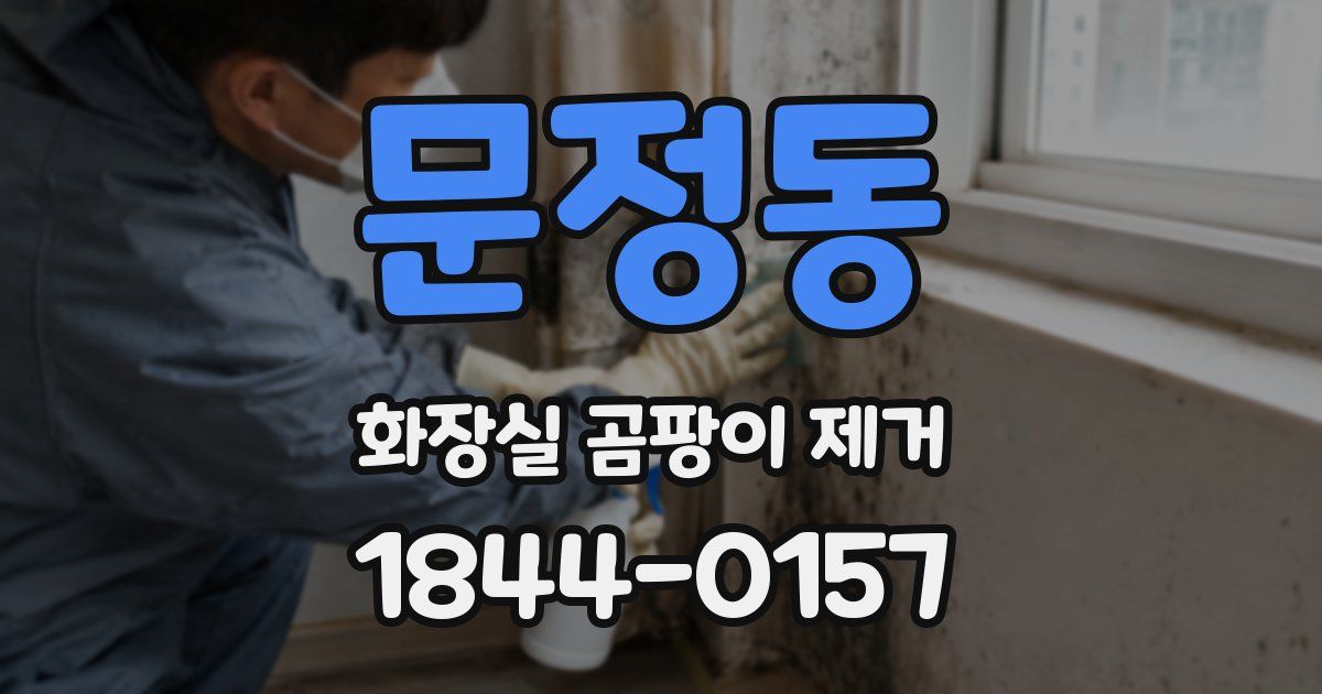 문정동 화장실 곰팡이 제거